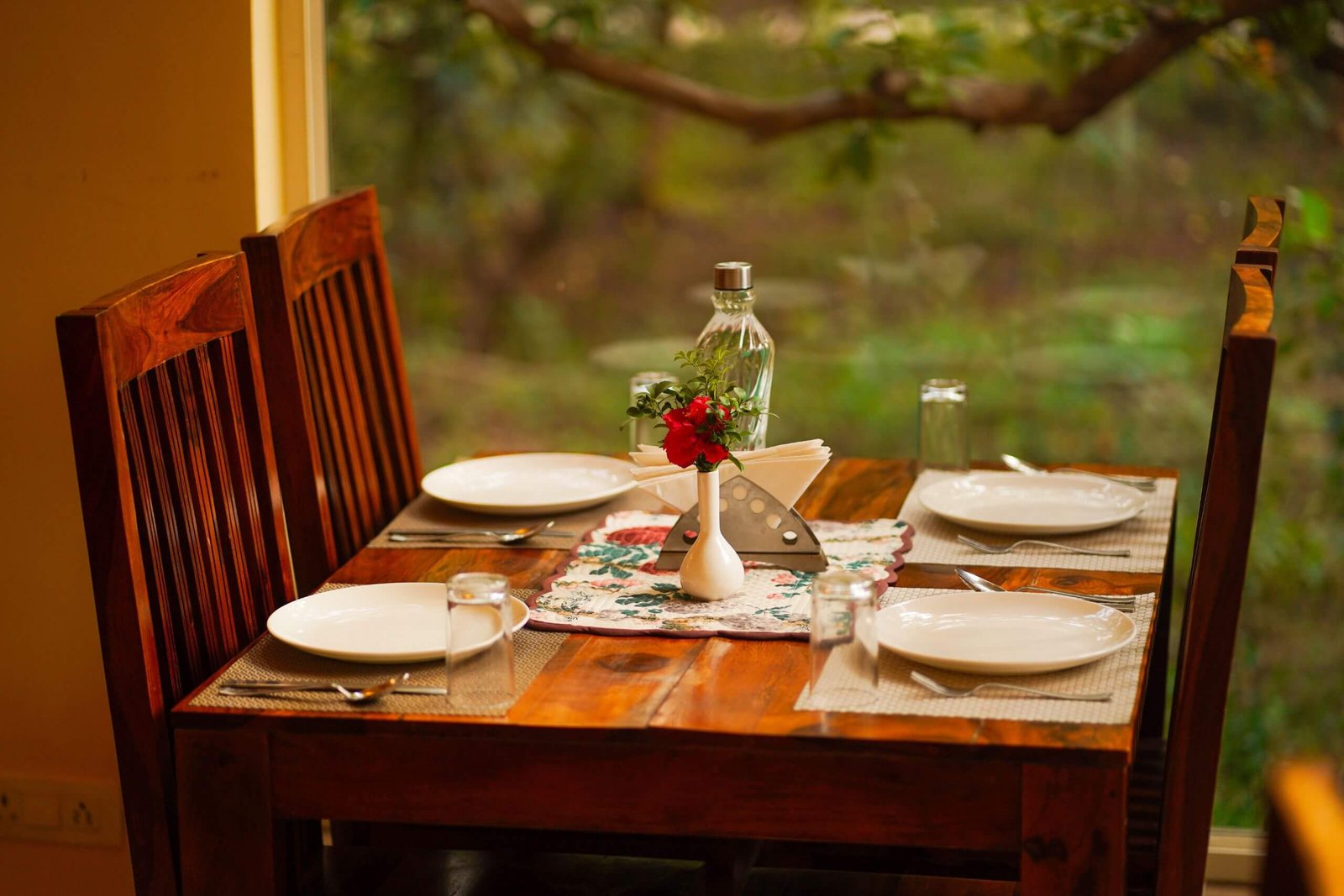 swimming pool tiger inn ranthambore 2