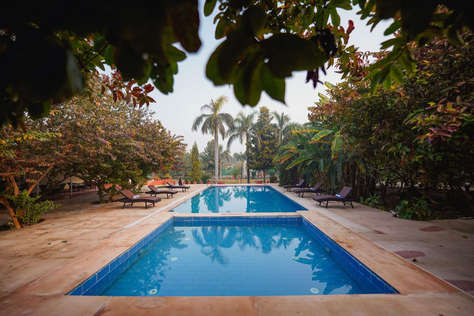 swimming-pool-tiger-inn-ranthambore 5